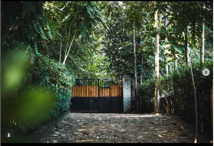 Forest Treehouse Deck